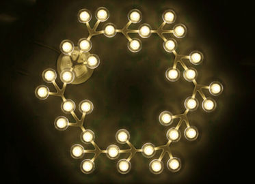 17 أضواء LED نت دائرة أضواء معلق سقف دافئ الصمام الأبيض